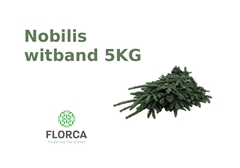 Abies Nobilis Whiteband 5kg BOXpp