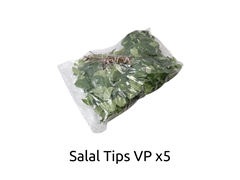 Gaultheria Shallon Salal Per Bunch 40cm Tips VACUUMpp