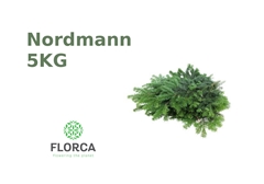 Abies Nordmann 5kg