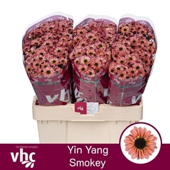 Chrysanth Santini Yin Yang Smokey 55cm 46gr.
