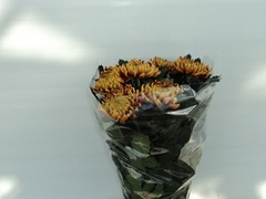 Chrysanth Single Fuego 75cm 80gr.