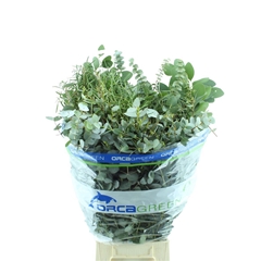 Eucalyptus Mix Per Bunch 70cm 300gr.