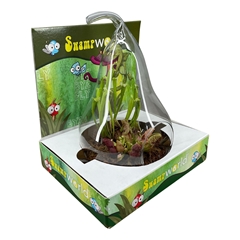 Carnivorous 20Ø 30cm