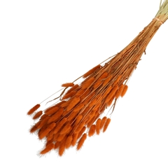 Dried Flowers Lagurus 65cm 100g
