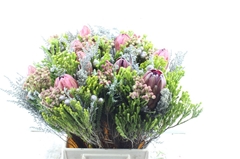 Protea Per Bunch 50cm