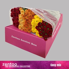Chrysanth Santini Mix 55cm 44gr.