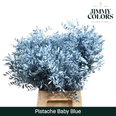 Pistacia Painted Light Blue 40cm
