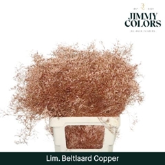 Limonium Painted Beltaard Metallic Copper 70cm 30gr.