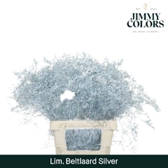 Limonium Painted Beltaard Metallic Silver 70cm 30gr.