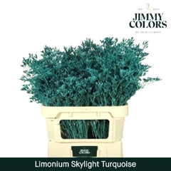 Limonium Painted Skylight Turquoise 70cm 25gr.