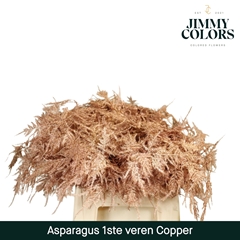 Asparagus Setaceus Painted Metallic Copper 45cm