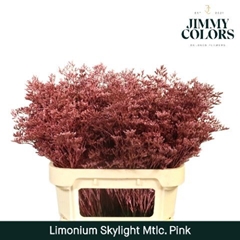 Limonium Painted Skylight Metallic Pink 80cm 30gr.