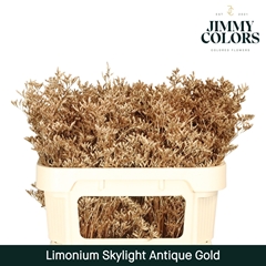 Limonium Painted Skylight Antique Gold 70cm 25gr.
