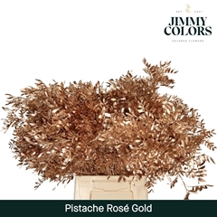 Pistacia Painted Metallic Rose Gold 40cm