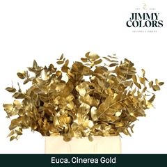 Eucalyptus Cinerea Painted Gold Per Bunch 70cm 200gr.