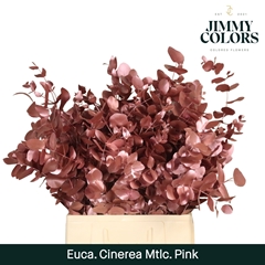 Eucalyptus Cinerea Painted Met Pink Per Bunch 70cm 200gr.