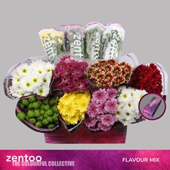 Chrysanth Spray Mix 70cm 85gr.