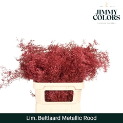 Limonium Painted Beltaard Metallic Red 90cm 50gr.