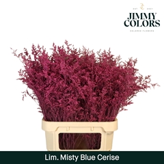 Limonium Painted Misty Blue Cerise 90cm 40gr.