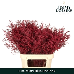Limonium Painted Misty Blue Hot Pink 90cm 40gr.