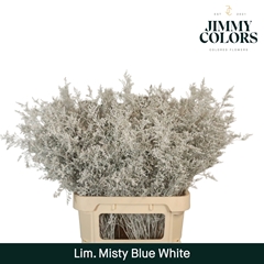 Limonium Painted Misty Blue White 90cm 40gr.