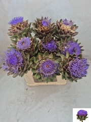 Cynara Green Globe 50cm