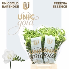 Freesia Double Essence 50cm 20gr.
