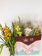 Cymbidium Mixed 14Ø 75cm 4st