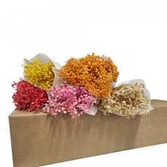 Dried Flowers Diy Box Assorti 65cm