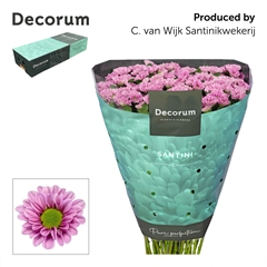 Chrysanth Santini Fabiani Pink 55cm 44gr.