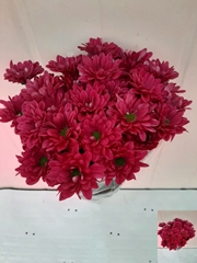 Chrysanth Spray Prada Purple 70cm 70gr.
