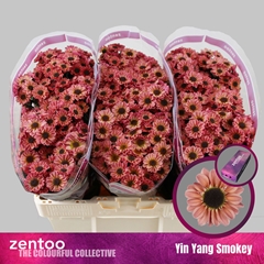 Chrysanth Santini Yin Yang Smokey 55cm 44gr.