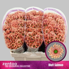 Chrysanth Santini Bluff Salmon 55cm 40gr.