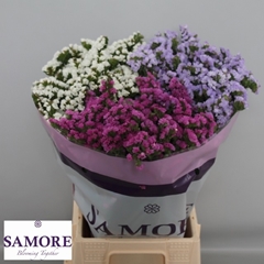 Limonium Sinuatum Mix 45cm 10gr.