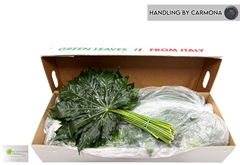 Fatsia Japonica Leave 70cm