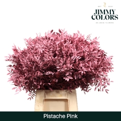 Pistacia Painted Pink + Glitter 40cm