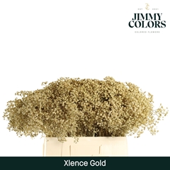 Gypsophila Painted Xlence Gold 60cm 20gr.