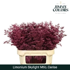 Limonium Painted Skylight Metallic Cerise 80cm 30gr.