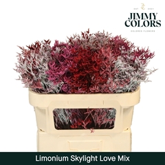 Limonium Painted Skylight Love Mix 70cm 25gr.