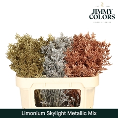Limonium Painted Skylight Metallic Mix 70cm 25gr.