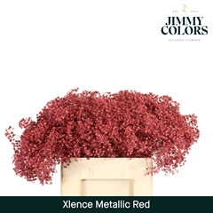Gypsophila Painted Metallic Red 60cm 20gr.