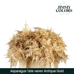 Asparagus Setaceus Painted Antique Gold + Glitter 45cm