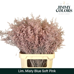 Limonium Painted Misty Blue Soft Pink 90cm 40gr.