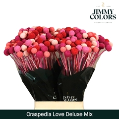 Craspedia Painted Love Mix 70cm