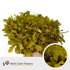 Quercus Rubra Painted Yellow 80cm