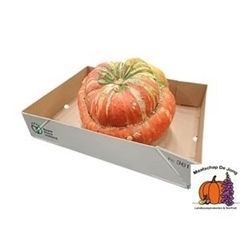 Cucurbita Maxima Turks Turban Mix 25cm