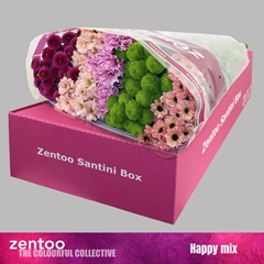 Chrysanth Santini Mix 55cm 48gr.