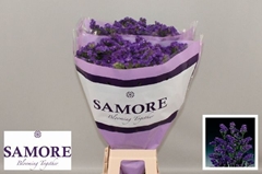 Limonium Sinuatum Acqua Sun Birds 60cm 25gr.