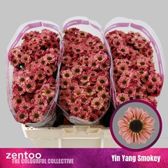 Chrysanth Santini Yin Yang Smokey 55cm 44gr.