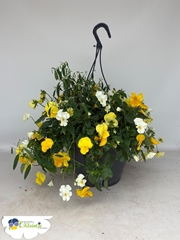 Hanging Baskets 27Ø 40cm